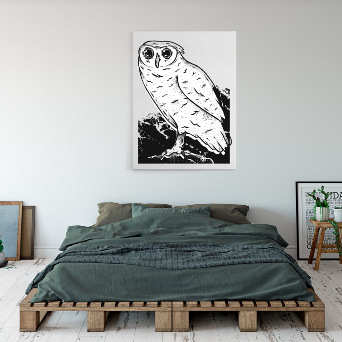 owl