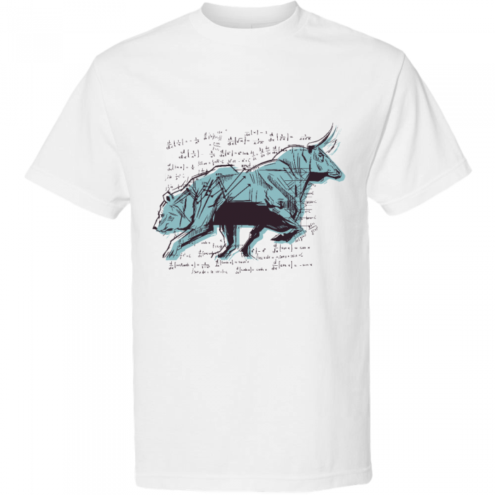 stock market bear and bull