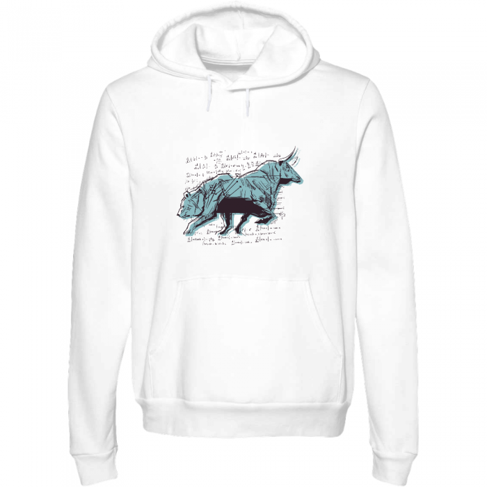 stock market bear and bull