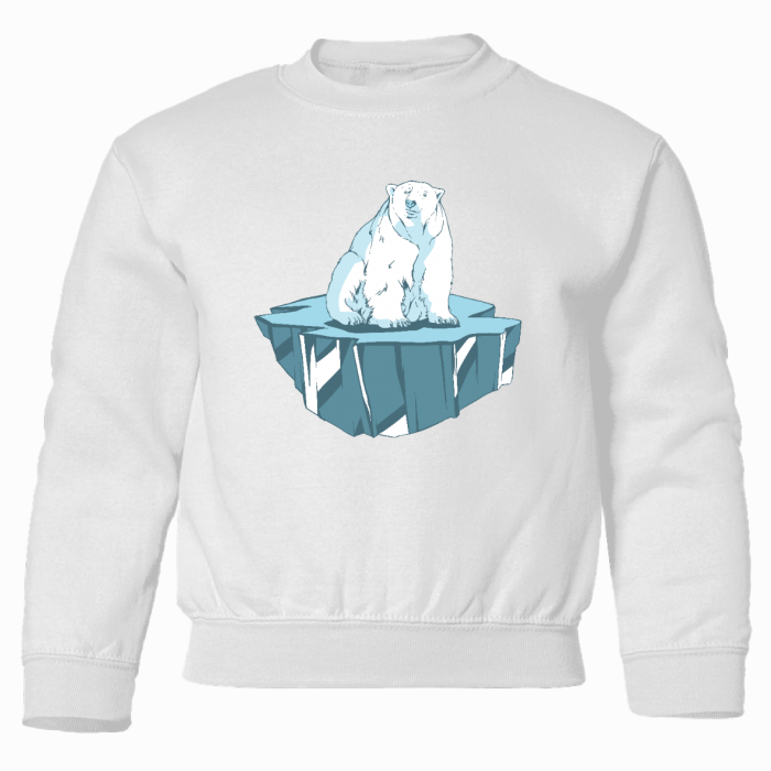 polar bear ice