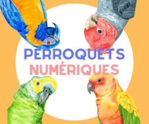 Logo perroquets numériques